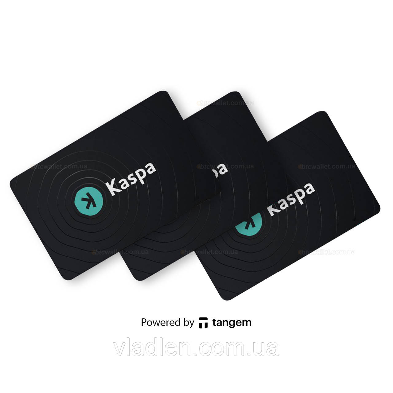 Крипто-гаманець Tangem 2.0 x Kaspa Wallet набір з 3 карток (TG128X3-K)