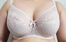 Жіночий бюстгальтер Orietta Avec 8803 в м'якій чашці E, колір Світло-Фламінго, фото 1