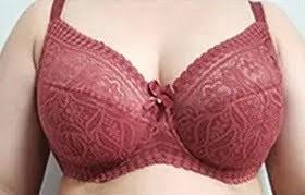 Жіночий бюстгальтер Orietta Avec 8803 в м'якій чашці D, колір Бордовий, фото 1