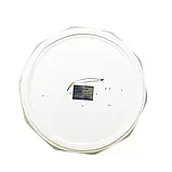 Світильник світлодіодний 24Вт Biom DL-R201-24-6 6200K, фото 6