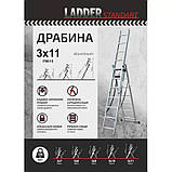 Драбина алюмінієва 3-секційна LADDER STANDARD (3х11 щаблів) (190-9311), фото 6