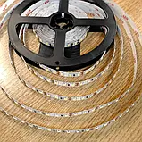 Світлодіодна стрічка LED MTK 2835-120 IP20 нейтральний білий, фото 2