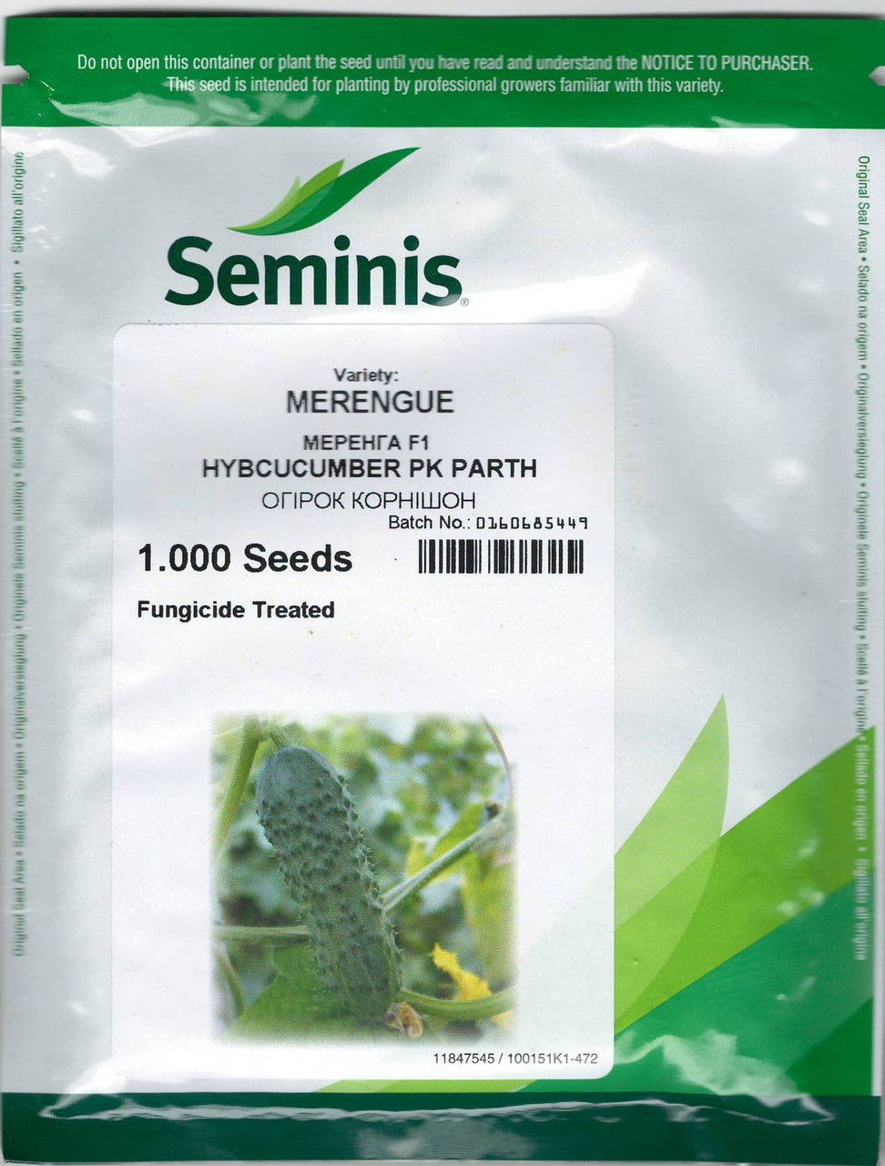 Огірок Меренга F1 (1000 насінин) Merengue F1 Seminis, фото 1