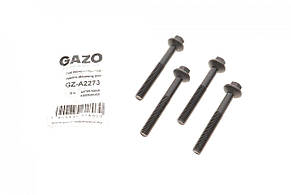 Болт кріплення форсунки Renault Kangoo / Laguna III / Megane 1.5 dCi 02- комплект Gazo GZA2273