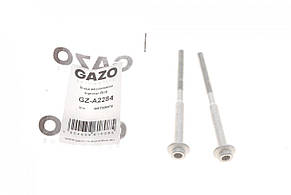 Болт кріплення форсунки VW Passat / Caddy IV 2.0TDI 10- (к-кт 2шт.) Gazo GZA2284