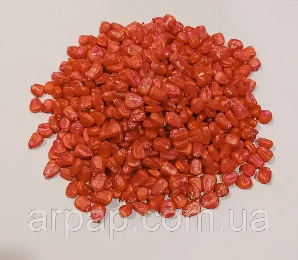 ДБ Хотин ФАО 280 Насіння кукурудзи 10кг на вагу, фото 1