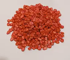 ДБ Хотин ФАО 280 Насіння кукурудзи 10кг на вагу