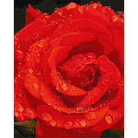 Картина по номерам "Роза в бриллиантах" Идейка KHO3207 40х50 см sh