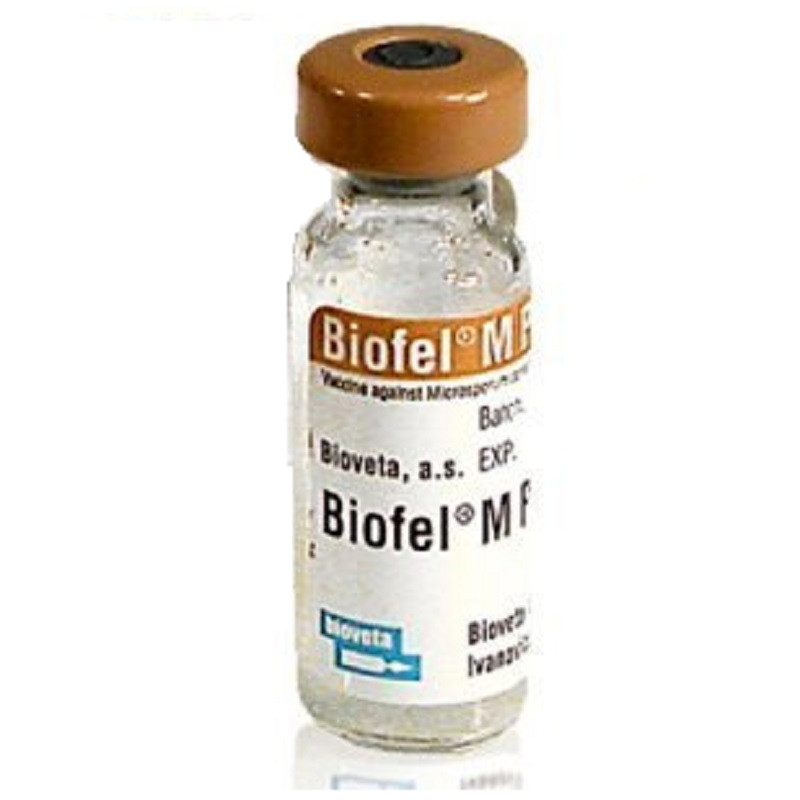 Вакцина Біофел M Плюс для кішок проти мікроспортії 1 доза BioVeta