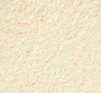 Рідкі шпалери Нектаринового кольору Тюльпан 1121 BK, код: 6499367