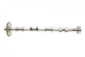 Розподільний вал VW Golf VI / Passat B6 / B7 2.0 TSI 04-18 (випуск) Gazo GZF1193