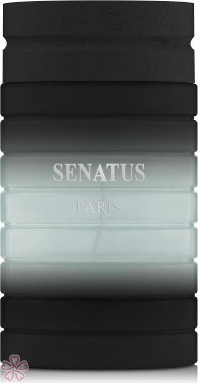 Prestige Parfums Senatus Black