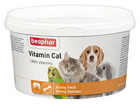 Вітамін Каль/Vitamin cal – вітамінно-мінеральний комплекс для собак, котів, гризунів, птахів 250 г Беафар/Beaphar
