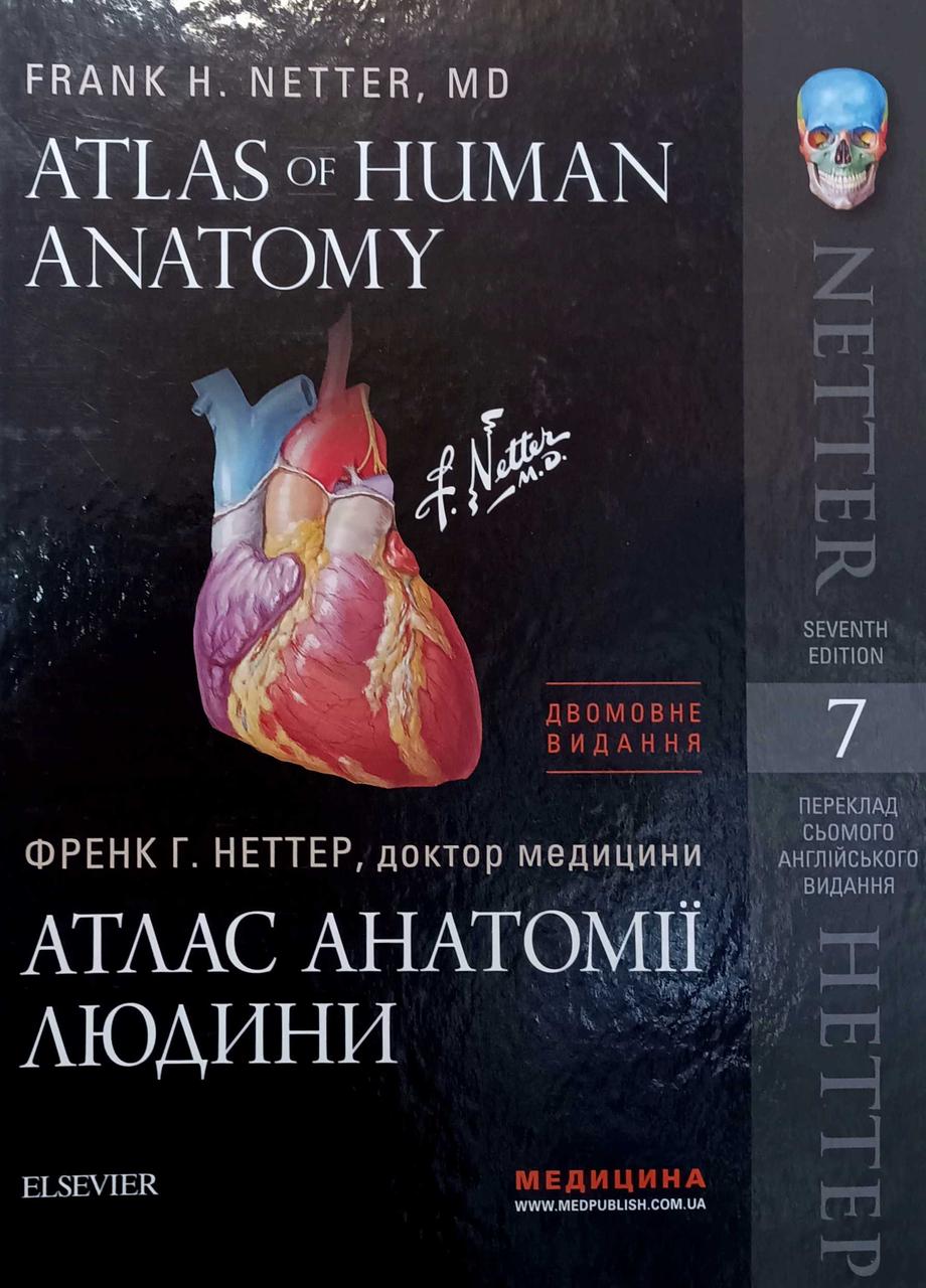 Атлас анатомії людини Atlas of Human Anatomy Неттер Ф. 7-ме видання