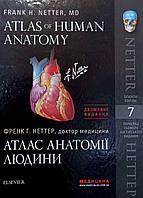 Атлас анатомії людини Atlas of Human Anatomy Неттер Ф. 7-ме видання