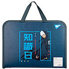 Папка портфель Yes Anime FC, фото 4