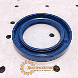 Манжета (сальник) армована вала ВОМ МТЗ 80/82 NBR синя (RIDER) (45*65*12-2), фото 3
