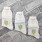 Шкарпетки жіночі середні весна/осінь р.36-40 білі герб WOMEN SOCKS 30038734, фото 3