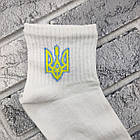 Шкарпетки жіночі середні весна/осінь р.36-40 білі герб WOMEN SOCKS 30038734, фото 5