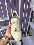 Кросівки жіночі Nivelle бежеві шкіряні кеди повсякденні демісезонні, фото 10