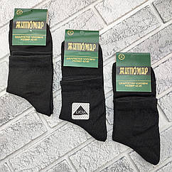 Шкарпетки чоловічі середні літо сітка р.42-45 чорні ЖИТОМИР ГС 30038729