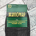 Шкарпетки чоловічі середні літо сітка р.42-45 асорті ЖИТОМИР ГС 30038728, фото 6