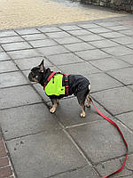 Одежда для собак жилет дождевик на флисе DRIFT для французского бульдога, мопса, бигля, спаниєля и других M