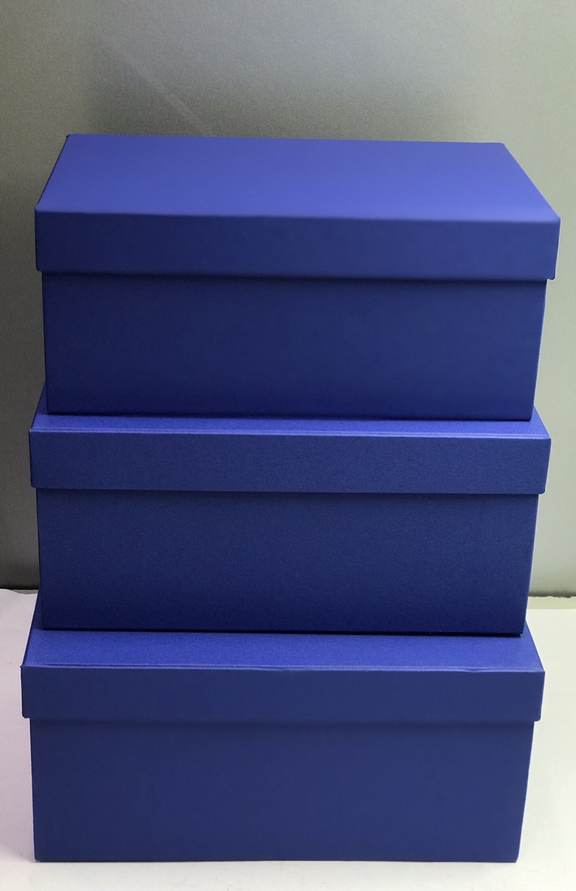 Набір прямокутних коробок з кришками(синій)