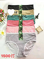 Барвисті Шортики "Хорий настрій" 48-54 (5009)