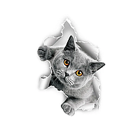 Наклейка 3D інтер'єрна Кіт для декору приміщень та предметів, Сірий