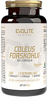 Экстракт корня крапивы индийской Evolite Nutrition Coleus Forskohlii 60 caps