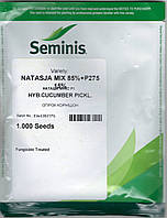 Огірок Наташа Мікс F1 (Natasja Mix F1), 1000 насіння Seminis