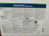 Каліпсо інсектицид контактно-кишкової дії, 1 л, фото 3