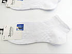 Чоловічі короткі шкарпетки Золото, бавовняні спортивна резинка в рубчик, 41-47 10 пар/уп. білі, фото 2