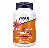 Холин и Инозитол комплекс CHOLINE & INOSITOL 250/250mg Now Foods 100 капсул