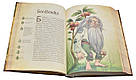 Чарівні істоти українського міфу. Духи природи. Автор Дара Корній, фото 8