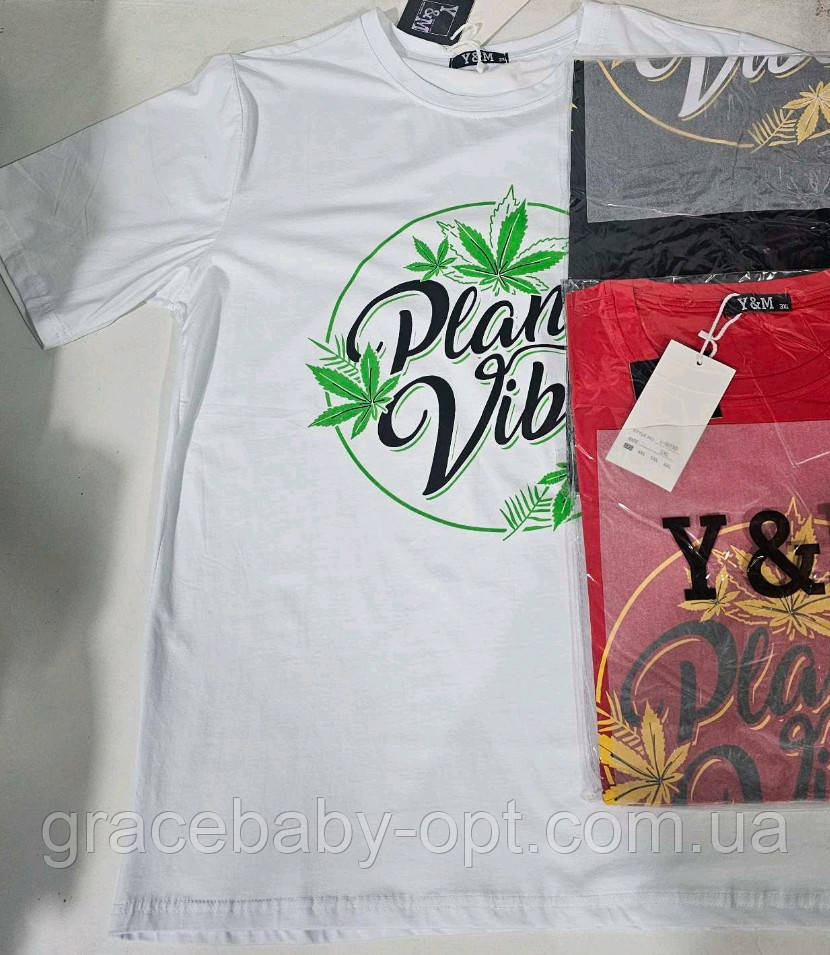 Футболка чоловіча оптом, 3XL-6Xl рр, № Hay-L-6030