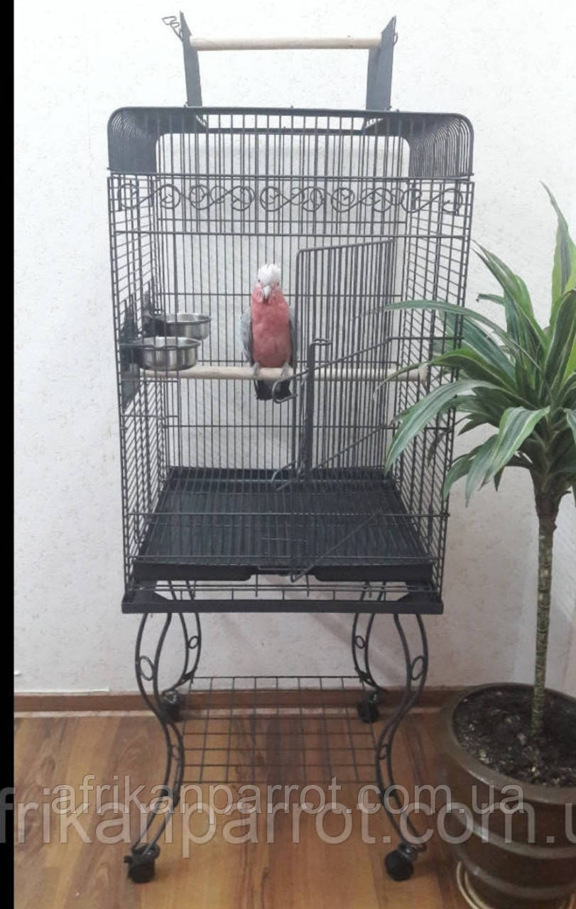 Виолетта- клітка з підставкою 54х54х69 см з, фото 1