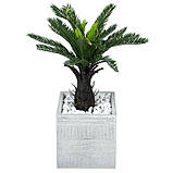 Штучна рослина Fan Palm 60 см в кашпо (DW-2567-1), фото 2
