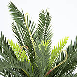 Штучна рослина Fan Palm 60 см в кашпо (DW-2567-1), фото 5