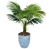 Штучна рослина Fan Palm 120 см в кашпо (DW-2779-1), фото 3
