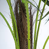 Штучна рослина Fan Palm 120 см в кашпо (DW-2779-1), фото 2