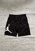 Чоловічі шорти Jordan Dri-fit big logo
