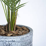 Штучна рослина Areca Palm 150 см в кашпо (DW-3078-1), фото 4