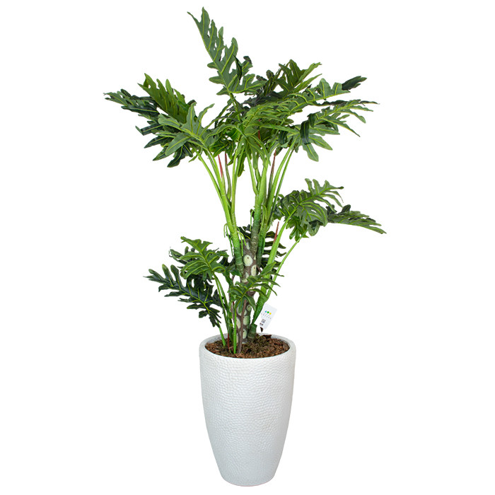 Штучна рослина Lacy Tree 150 см в кашпо (DW-2932-3)