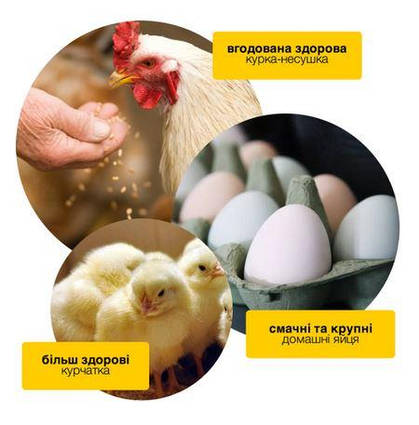 Курячий Stimulator Egg Production Chicken Active Plus