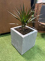 Вазон из бетона для растений, серый (28*28*28) Код: 008747