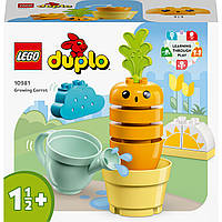 Конструктор LEGO DUPLO My First Морковь на грядке 11 деталей (10981)