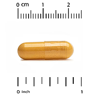Boswellia Extract Plus Turmeric Extract 500 мг California Gold Nutrition 120 капсул, фото 4