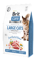 Сухой корм для кошек крупных пород Brit Care Cat GF Large cats Power & Vitality 2 кг (курица и утка) i